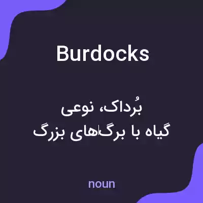 معنی burdocks به فارسی معنی burdocks به فارسی