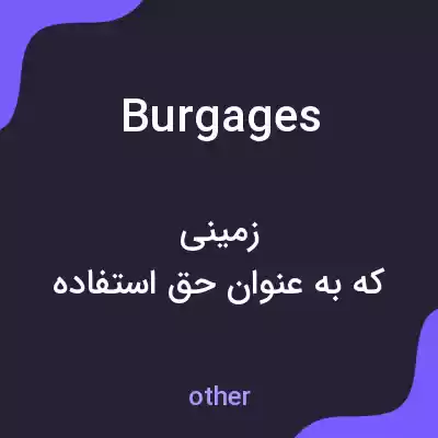 معنی burgages به فارسی معنی burgages به فارسی