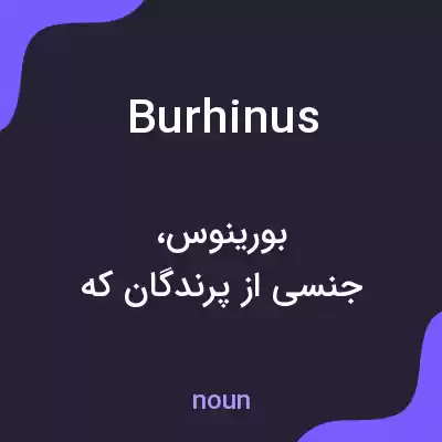 معنی burhinus به فارسی معنی burhinus به فارسی