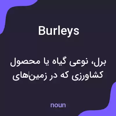معنی burleys به فارسی معنی burleys به فارسی