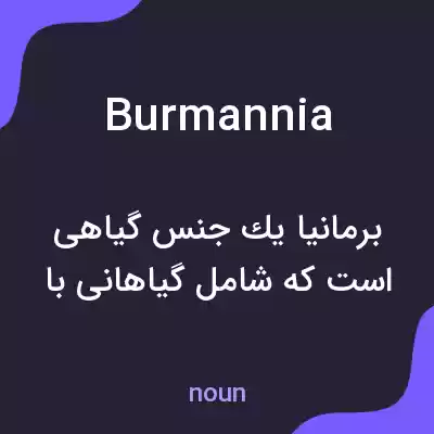 معنی burmannia به فارسی معنی burmannia به فارسی