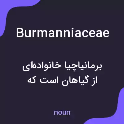 معنی burmanniaceae به فارسی معنی burmanniaceae به فارسی