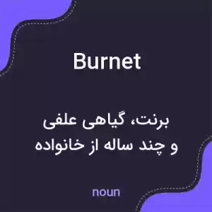 معنی burnet به فارسی