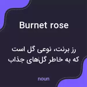 معنی burnet rose به فارسی معنی burnet rose به فارسی