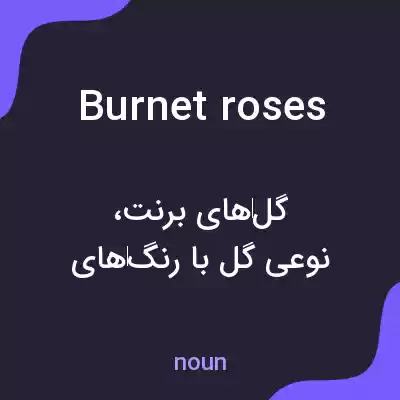 معنی burnet roses به فارسی معنی burnet roses به فارسی