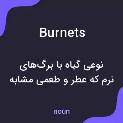 معنی burnets به فارسی معنی burnets به فارسی