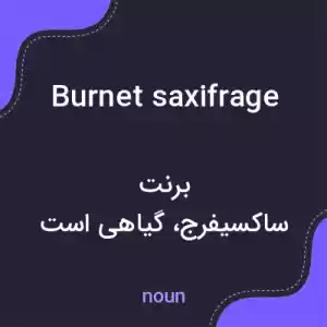معنی burnet saxifrage به فارسی معنی burnet saxifrage به فارسی