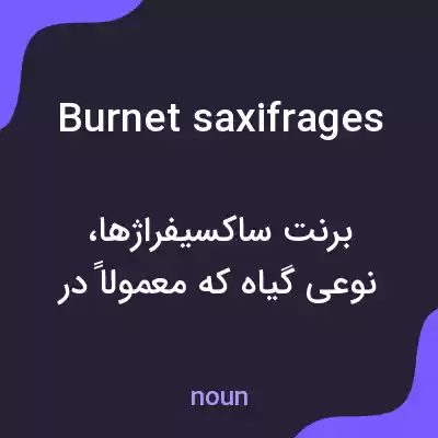 معنی burnet saxifrages به فارسی معنی burnet saxifrages به فارسی