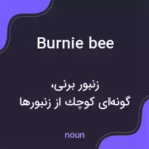 معنی burnie bee به فارسی معنی burnie bee به فارسی
