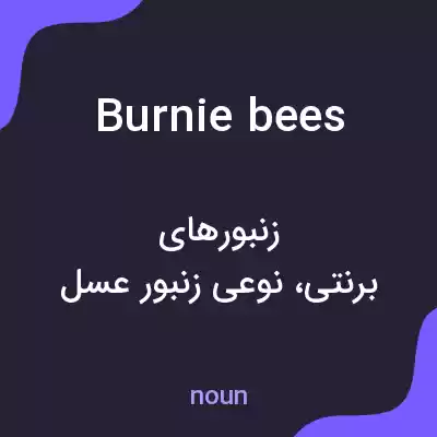 معنی burnie bees به فارسی معنی burnie bees به فارسی
