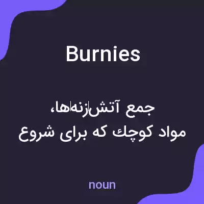معنی burnies به فارسی معنی burnies به فارسی