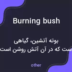 معنی burning bush به فارسی معنی burning bush به فارسی