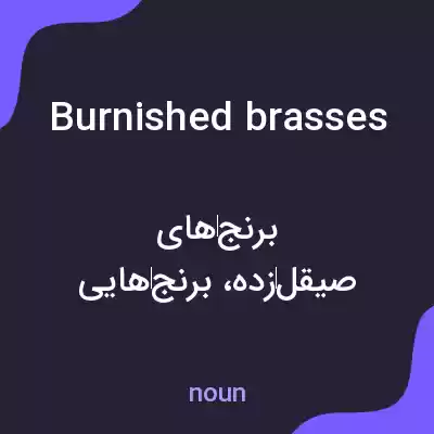 معنی burnished brasses به فارسی معنی burnished brasses به فارسی