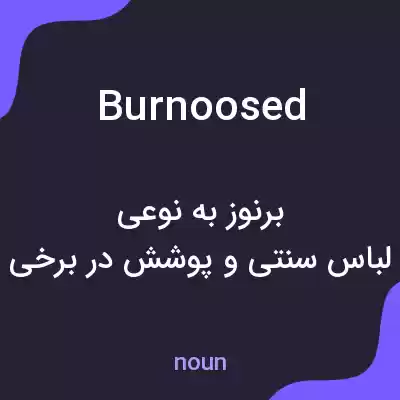 معنی burnoosed به فارسی معنی burnoosed به فارسی