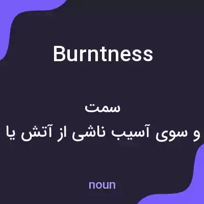 معنی burntness به فارسی معنی burntness به فارسی