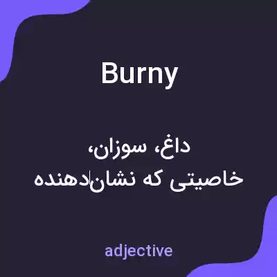 معنی burny به فارسی معنی burny به فارسی