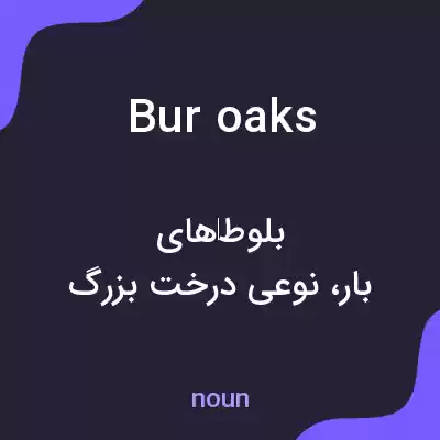 معنی bur oaks به فارسی معنی bur oaks به فارسی