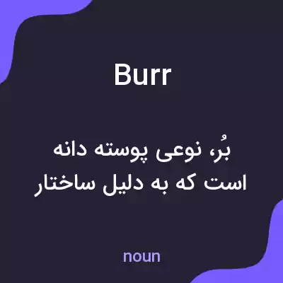 معنی burr به فارسی