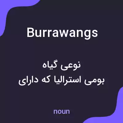 معنی burrawangs به فارسی معنی burrawangs به فارسی