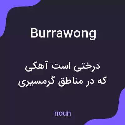 معنی burrawong به فارسی معنی burrawong به فارسی