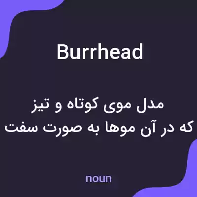 معنی burrhead به فارسی معنی burrhead به فارسی