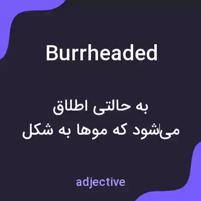 معنی burrheaded به فارسی معنی burrheaded به فارسی
