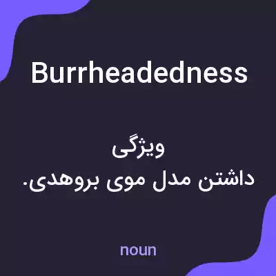 معنی burrheadedness به فارسی معنی burrheadedness به فارسی