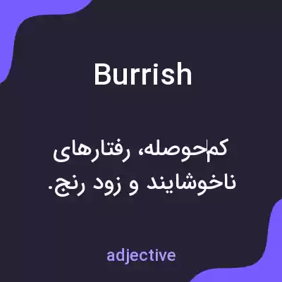 معنی burrish به فارسی معنی burrish به فارسی