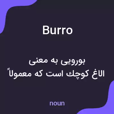 معنی burro به فارسی معنی burro به فارسی