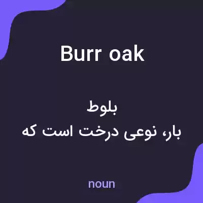 معنی burr oak به فارسی معنی burr oak به فارسی