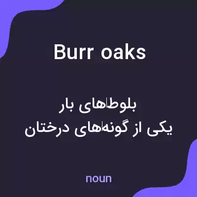 معنی burr oaks به فارسی معنی burr oaks به فارسی