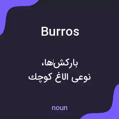 معنی burros به فارسی معنی burros به فارسی