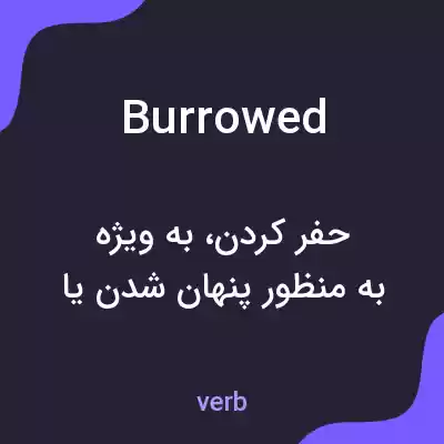 معنی burrowed به فارسی معنی burrowed به فارسی
