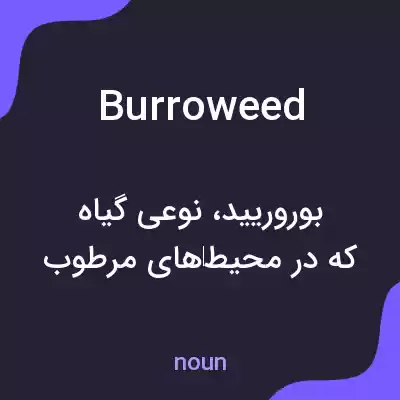 معنی burroweed به فارسی معنی burroweed به فارسی