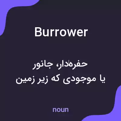 معنی burrower به فارسی معنی burrower به فارسی