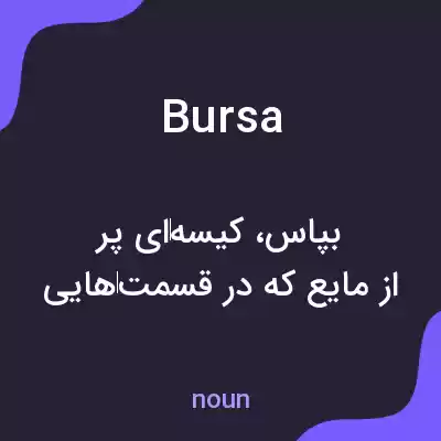 معنی bursa به فارسی معنی bursa به فارسی