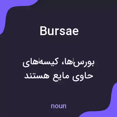 معنی bursae به فارسی معنی bursae به فارسی