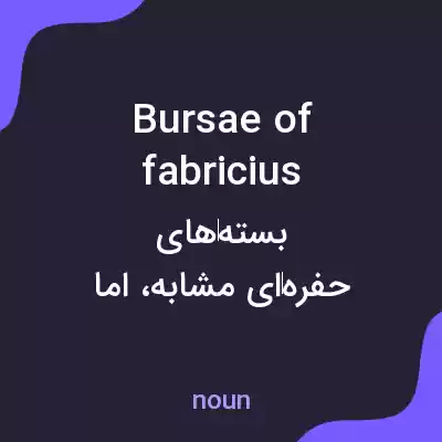 معنی bursae of fabricius به فارسی معنی bursae of fabricius به فارسی