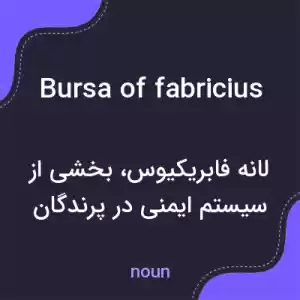 معنی bursa of fabricius به فارسی معنی bursa of fabricius به فارسی