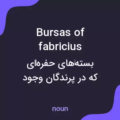 معنی bursas of fabricius به فارسی معنی bursas of fabricius به فارسی