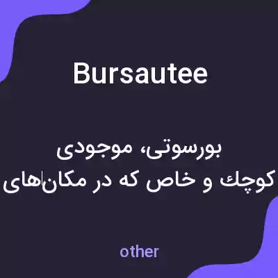 معنی bursautee به فارسی معنی bursautee به فارسی