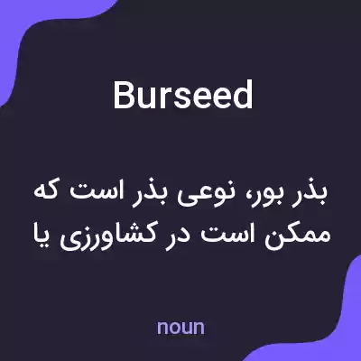 معنی burseed به فارسی معنی burseed به فارسی