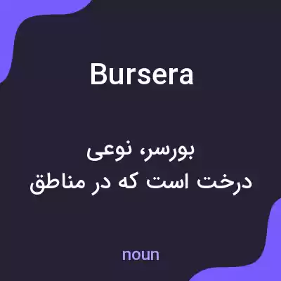معنی bursera به فارسی معنی bursera به فارسی