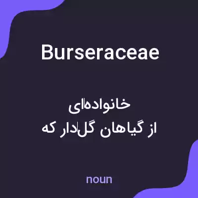 معنی burseraceae به فارسی معنی burseraceae به فارسی