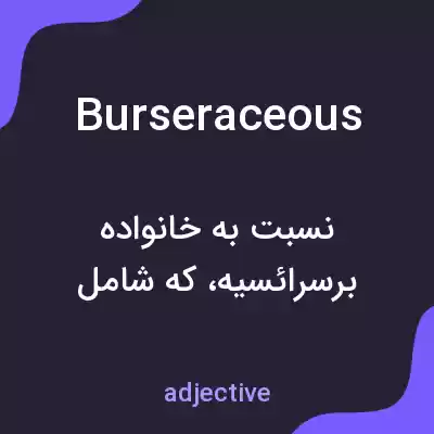 معنی burseraceous به فارسی معنی burseraceous به فارسی