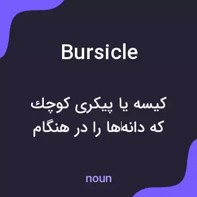معنی bursicle به فارسی معنی bursicle به فارسی