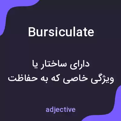 معنی bursiculate به فارسی معنی bursiculate به فارسی