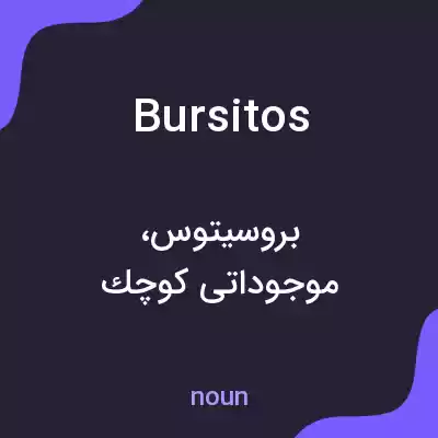 معنی bursitos به فارسی معنی bursitos به فارسی