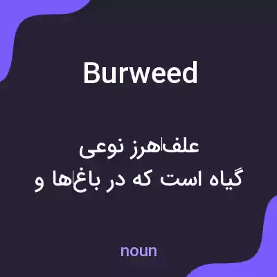 معنی burweed به فارسی معنی burweed به فارسی