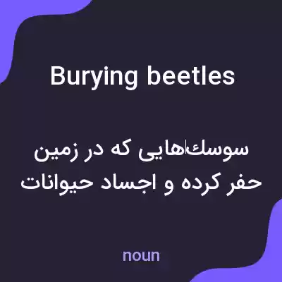 معنی burying beetles به فارسی معنی burying beetles به فارسی